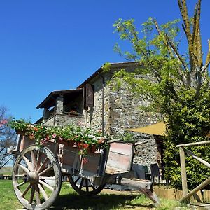 Agriturismo Il Poggio Di Orvieto